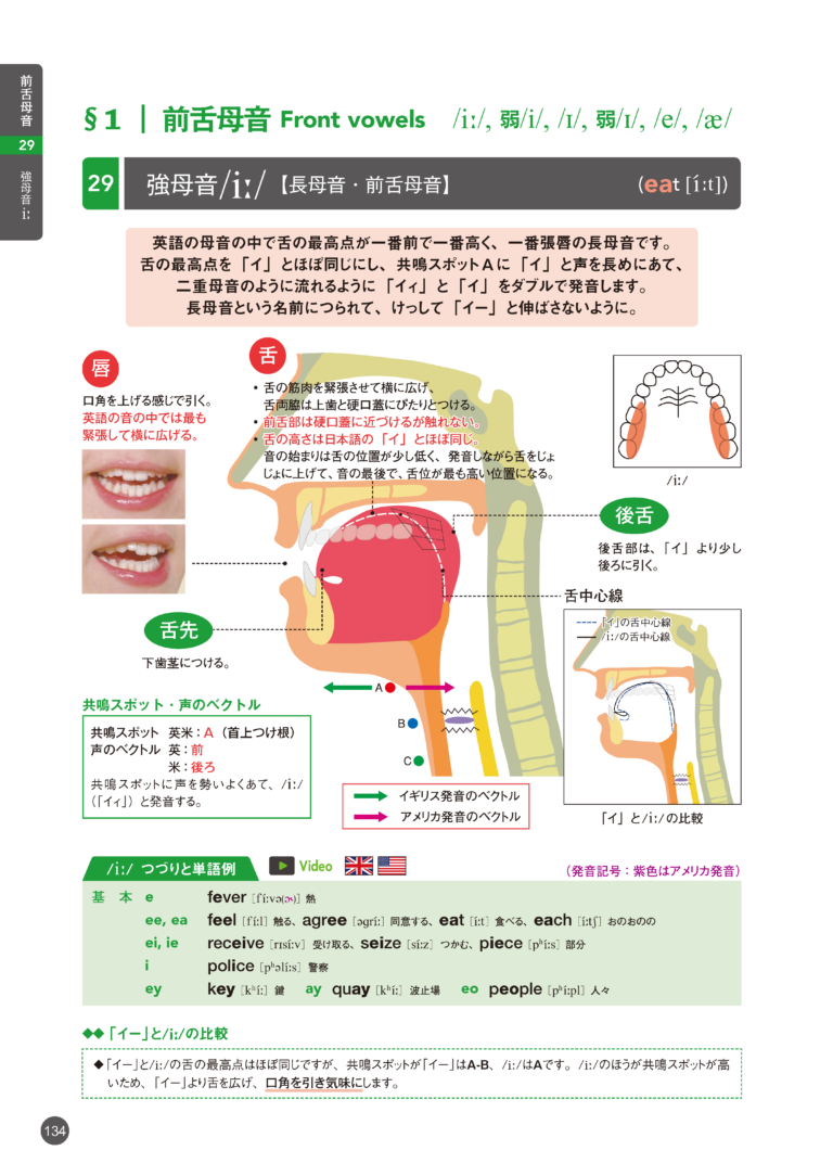 sample_image_11